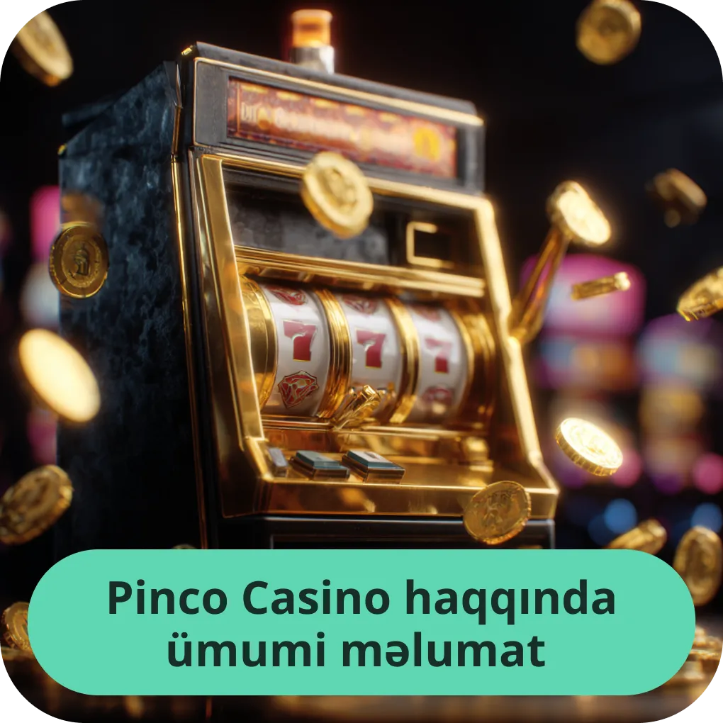Pinco Casino haqqında bilməli olduğunuz hər şey - ətraflı ümumi məlumat Pinco Casino haqqında ümumi məlumat